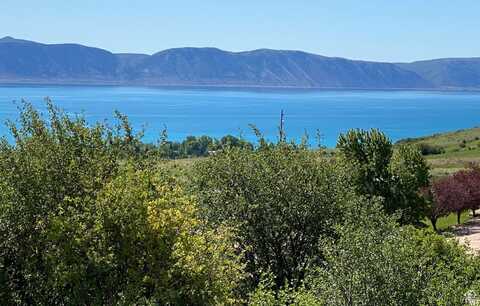 39 ARNICA, Fish Haven, ID 83287