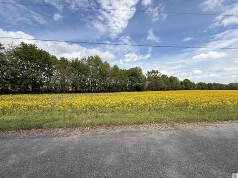 2201 State Route 1241, Hickory, KY 42051