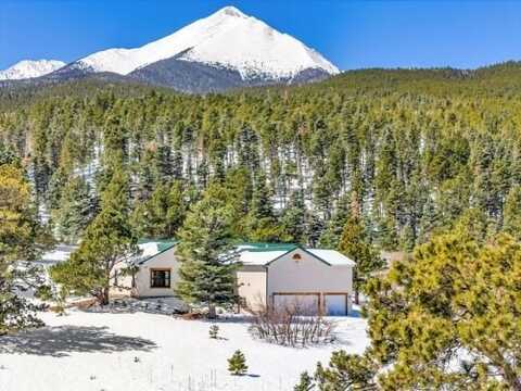 4860 CO RD 140, Westcliffe, CO 81252