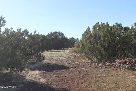 8588 Kaibab Lane, Show Low, AZ 85901