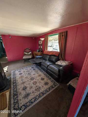 2468 Running Bear Rd, Lakeside, AZ 85929