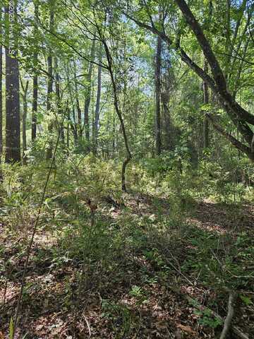 416 Sandy Ridge Road, Tyner, NC 27980