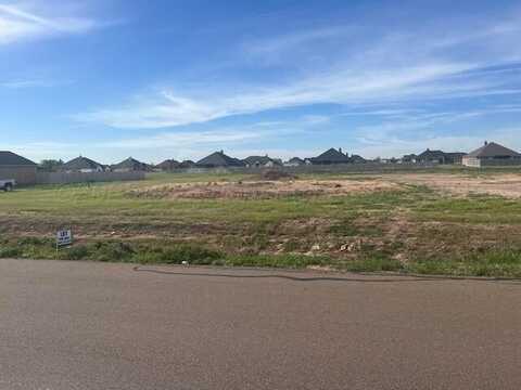 9735 Agave Drive, Amarillo, TX 79119