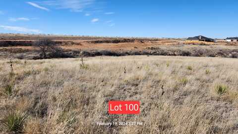 1651 BLAKELY HOLLOW, Amarillo, TX 79124