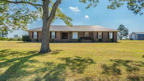 762 Highway 240 Connector, Mauk, GA 31058