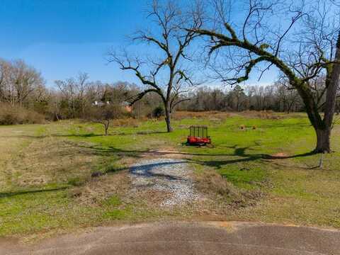 156 Old Canoy Lane, Leesburg, GA 31763