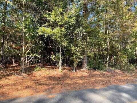 Lot 5 Lake Jennifer Dr, Americus, GA 31709