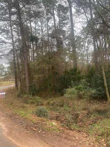 0 Ashley Road, Americus, GA 31709