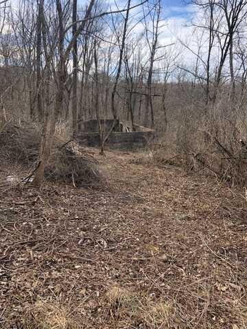 49 Curtis St, Athens, OH 45701