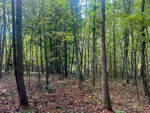 Tract 3 Mount Carmel, Vinton, OH 43130