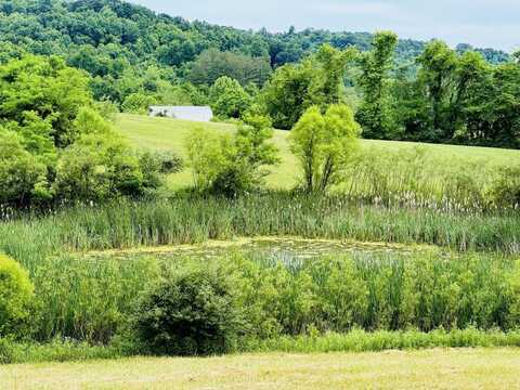 37406 New Lima Rd, Rutland, OH 45775
