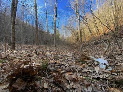 Kelly Rd, Ray, OH 45672