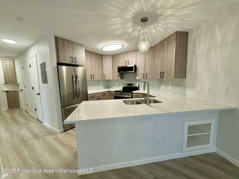 3102 Elk Lane Lane, Basalt, CO 81621