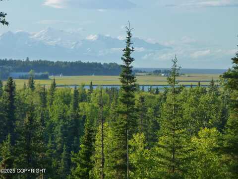 25006 Silver Fox Drive, Kasilof, AK 99610