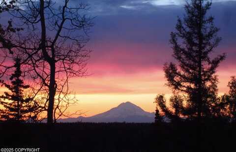 25005 Arctic Fox Road, Kasilof, AK 99610