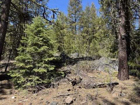 Horned Owl Lane, Bonanza, OR 97623