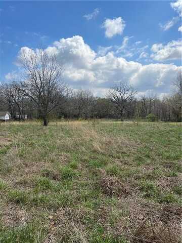 Tract C Huenefeld ST, Lincoln, AR 72744