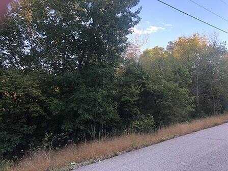 70 Eagle DR, Holiday Island, AR 72631