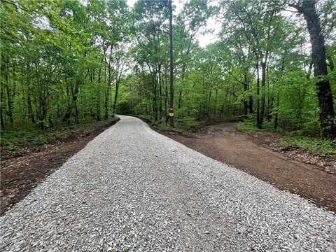 00 NC 8801, Jasper, AR 72704