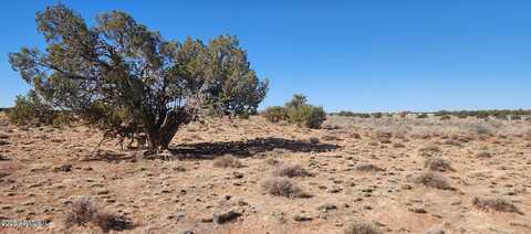 5137 ENCANTO Road, Snowflake, AZ 85937