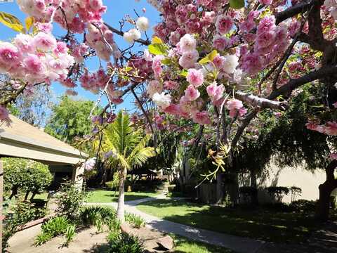 320 Auburn Way, San Jose, CA 95129