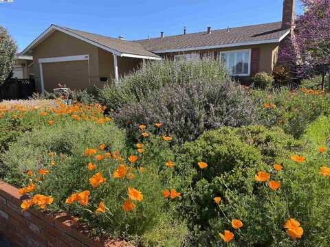 166 Anna Maria St, Livermore, CA 94550