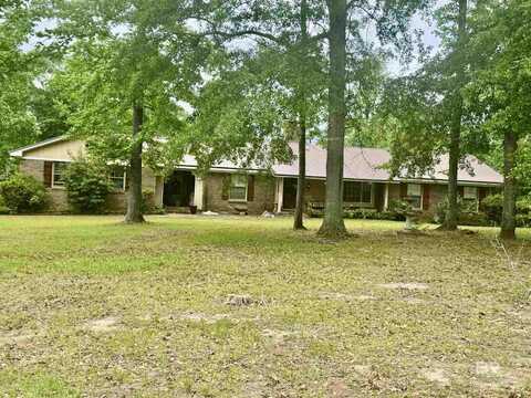 701 Forest Drive, Georgiana, AL 36037