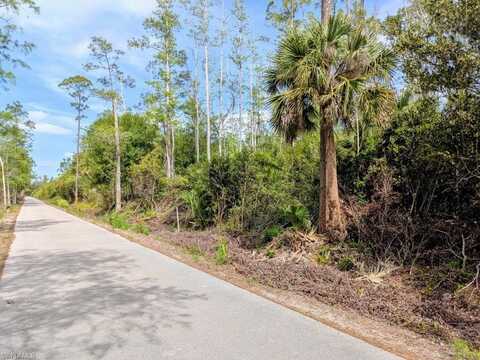 18203 Dusty, ESTERO, FL 33928