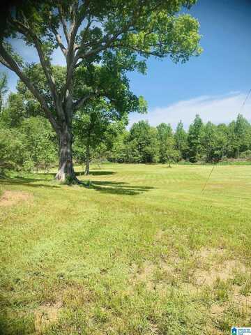 3475 COUNTY ROAD 29, HEFLIN, AL 36264