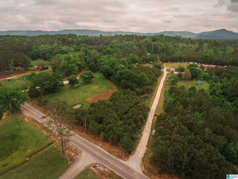 600 POSSUM TROT ROAD, PIEDMONT, AL 36272
