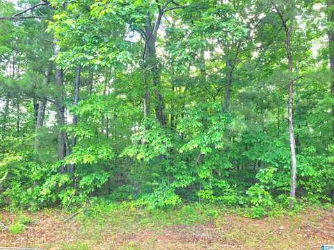 THOMAS AVENUE, TALLADEGA, AL 35160