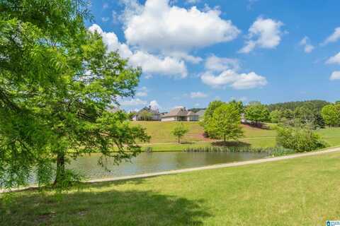 1017 FAIRBANK LANE, CHELSEA, AL 35043