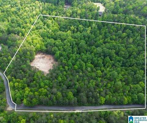 720 TWIN BLUFFS DRIVE, SPRINGVILLE, AL 35146