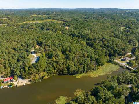 0 W LAKESHORE DRIVE, ONEONTA, AL 35121