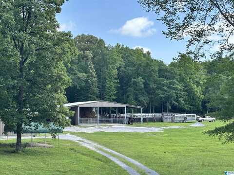 405 HIGHWAY 77, COLUMBIANA, AL 35051
