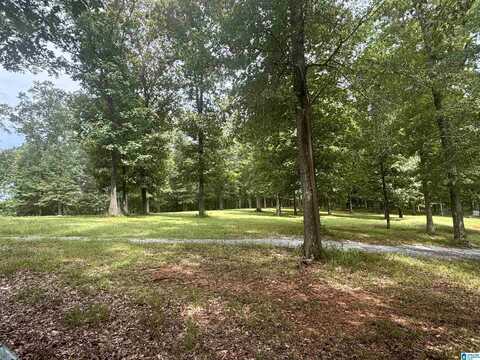 405 HIGHWAY 77, COLUMBIANA, AL 35051