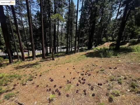 2904 Venado DR, Arnold, CA 95223