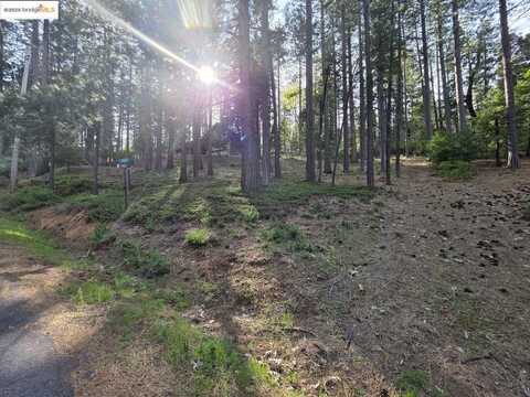 2904 Venado DR, Arnold, CA 95223