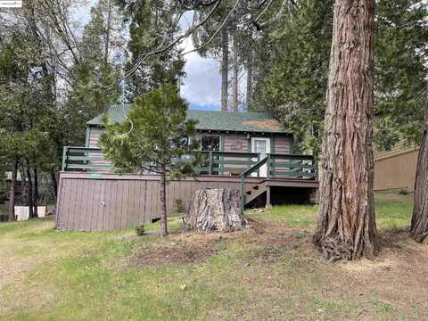 18824 Manzanita Dr, Twain Harte, CA 95383