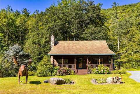 187 State Route 214, Shandaken, NY 12464