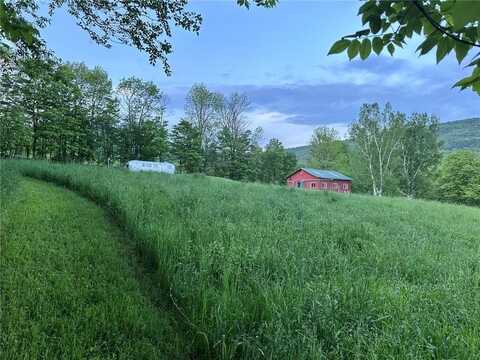47 Harold Roberts Road, Middletown, NY 12459