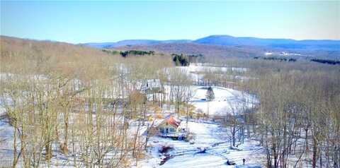 1949 Upper Meeker Hollow Road, Roxbury, NY 12474