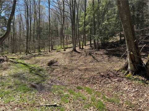 Little Loop Road, Portville, NY 14770