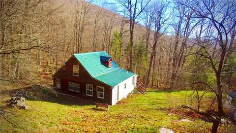 339 Mountain Lake Road, Andes, NY 13731