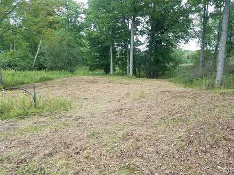 122 S of Otter Pond Road, Alexandria Bay, NY 13607