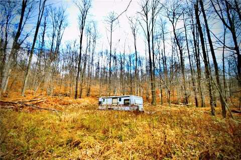 Petersen Road, Hancock, NY 13783
