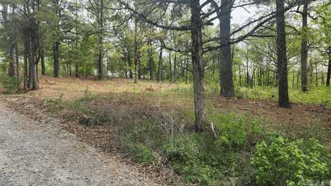 32 Red Oak Rd, Story, AR 71970