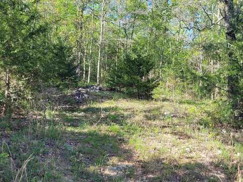 TBD Indian Valley Trail, Mammoth Spring, AR 72554