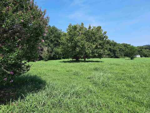 002 Jellon, Mountain View, AR 72560