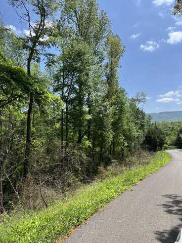 Lot 17 Jack Smith Road, Dunlap, TN 37327